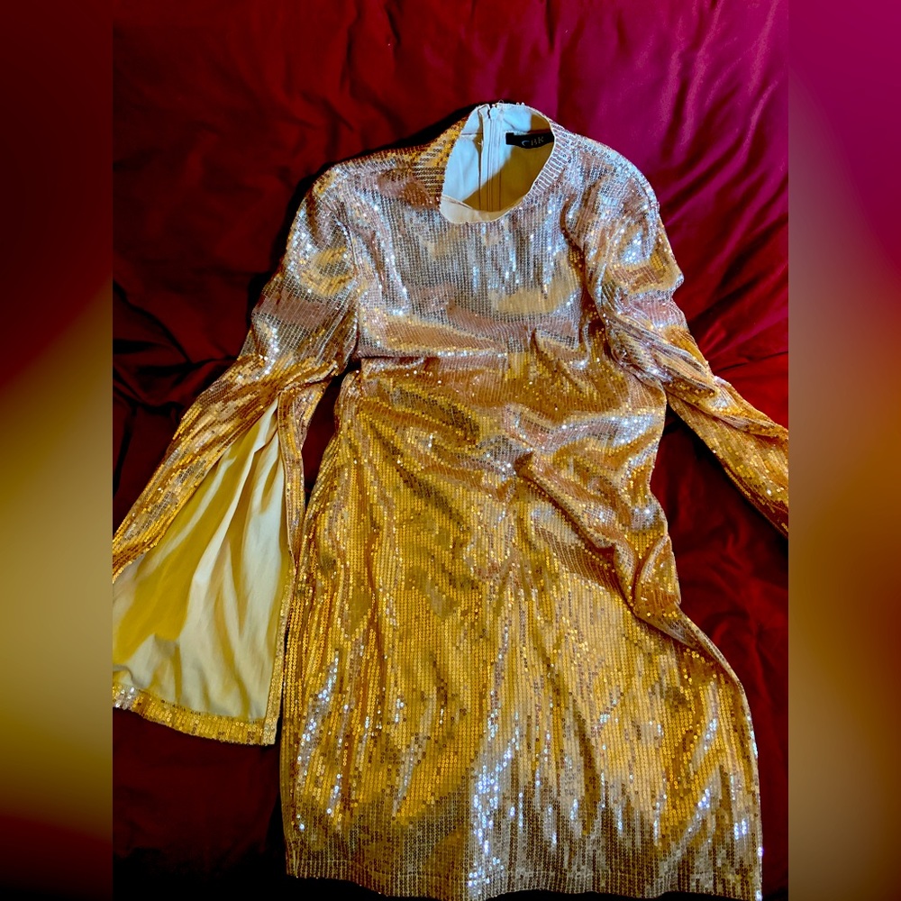 Champagne CBR Disco Flared Sleeve Dress $35